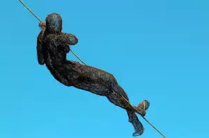 Práce Řidič Ostrava