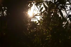 Kdy Můžu Vybrat Penzijní Připojištění